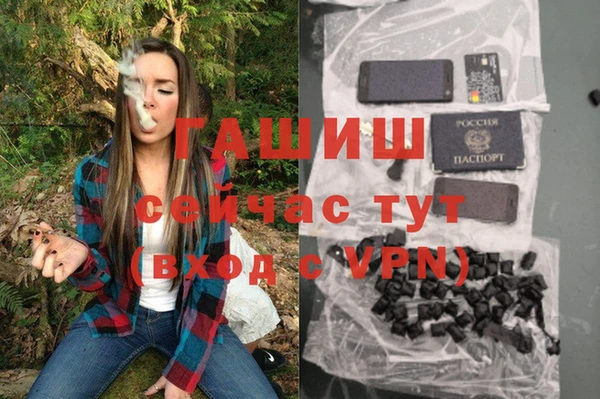 шишки Балахна